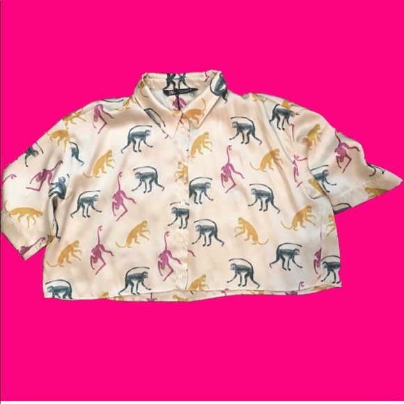 COPY - COPY - Zara NWT monkey silky blouse - Picture 2 of 10